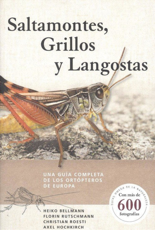 Saltamontes Grillos Y Langostas Libro