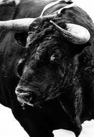 Sangre De Reyes Libro