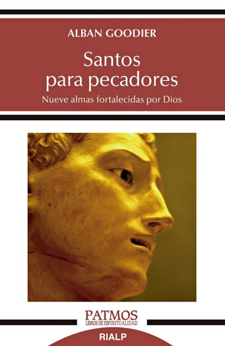 Santos Para Pecadores Libro