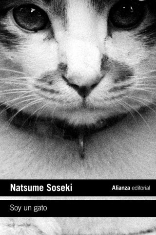 Soy Un Gato Libro