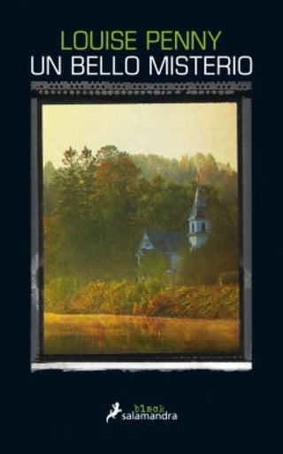 Un Bello Misterio 8 Libro