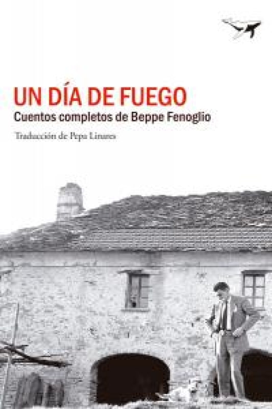 Un Día De Fuego Libro