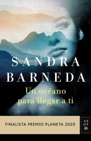 Un Océano Para Llegar A Ti Libro