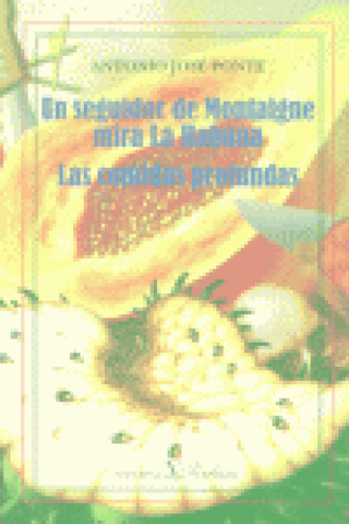 Un Seguidor De Montaigne Mira La Habana / Las Comidas Profundas Libro