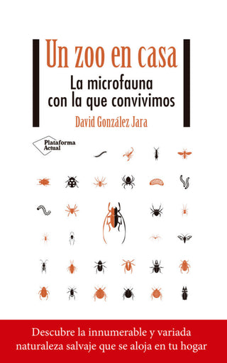 Un Zoo En Casa Libro