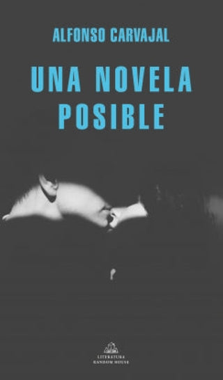 Una Novela Posible Libro