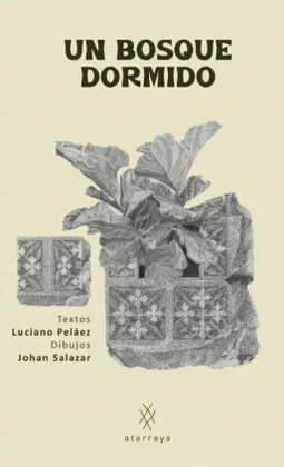 Un bosque dormido